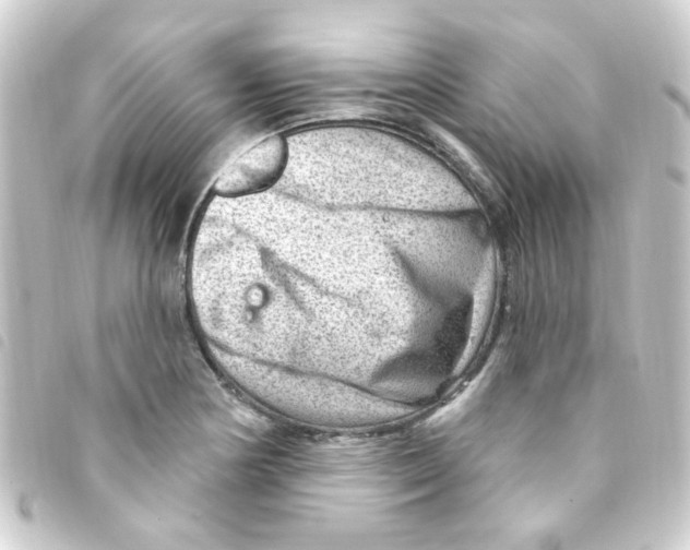 X0000093261178200710241327