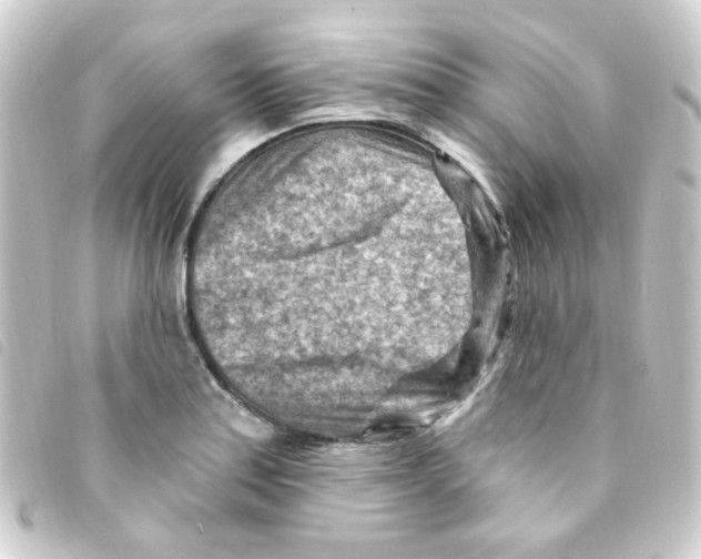 X0000093261179200710241327