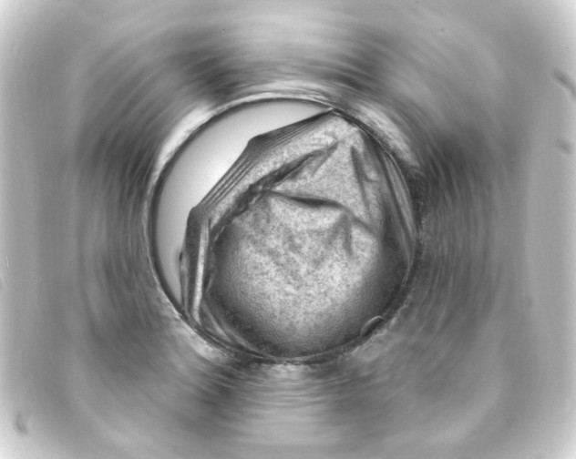 X0000093261180200710241327