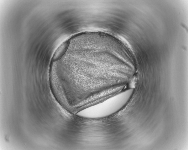 X0000093261183200710241327