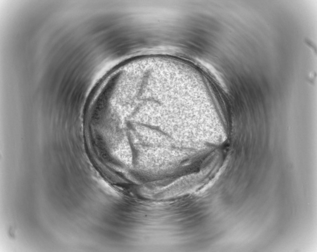 X0000093261184200710241327