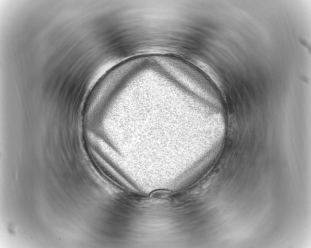 X0000093261187200710241327