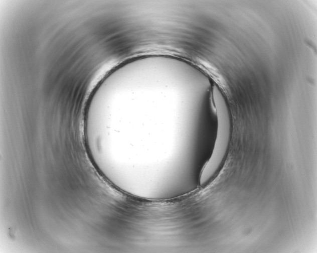 X0000093261188200710241327