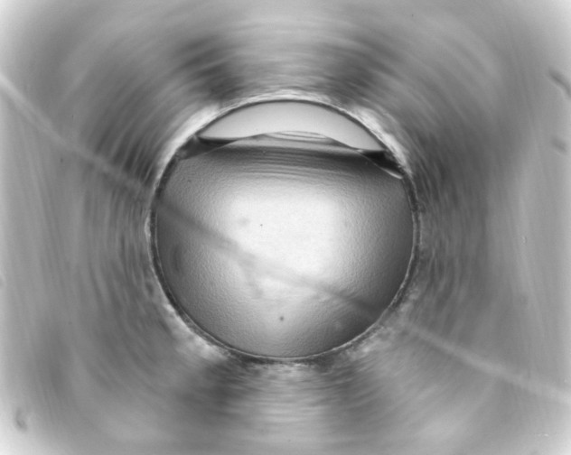 X0000093261189200710241327