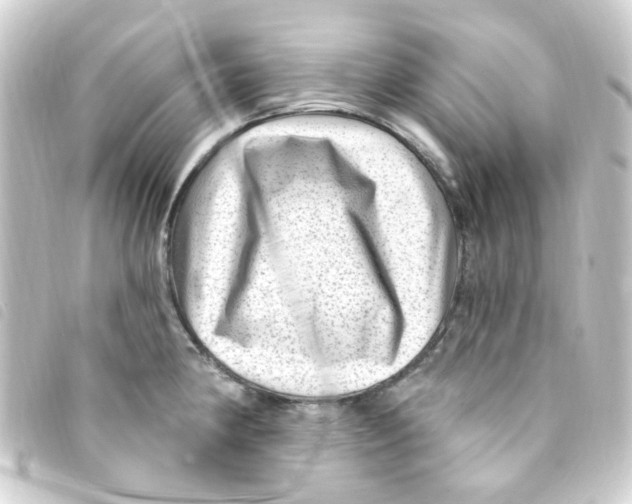 X0000093261190200710241327