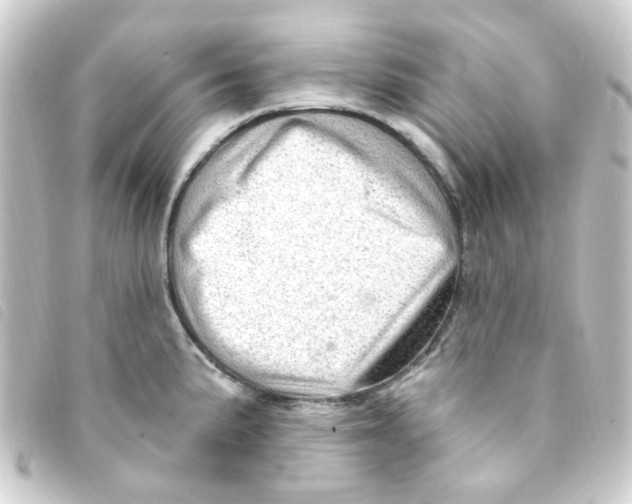 X0000093261191200710241327