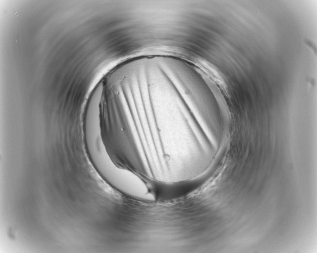 X0000093261192200710241327