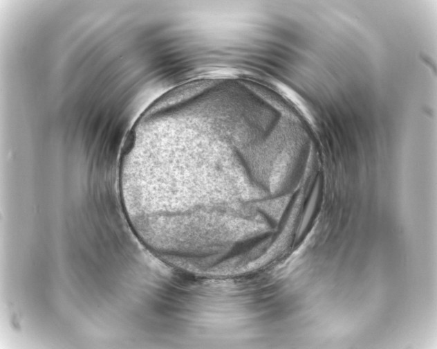 X0000093261194200710241327