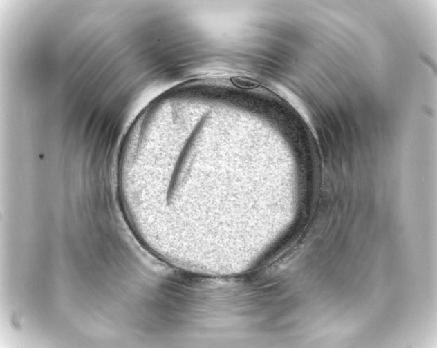 X0000093261195200710241327