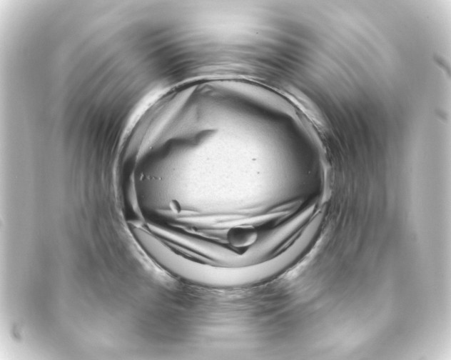 X0000093261196200710241327