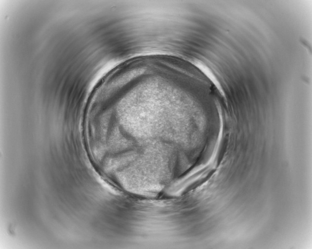 X0000093261197200710241327