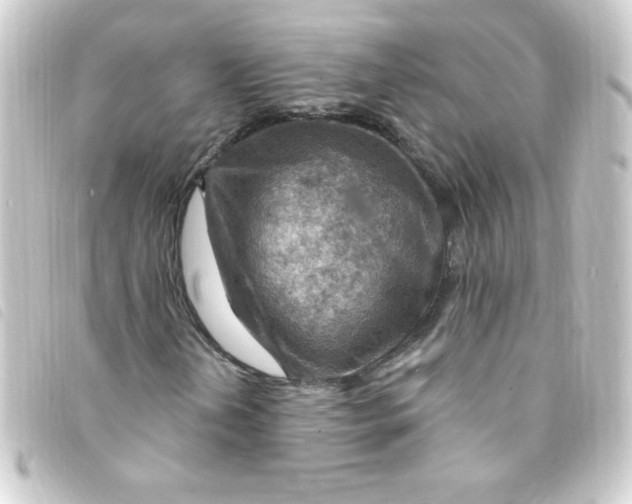 X0000093261202200710241326