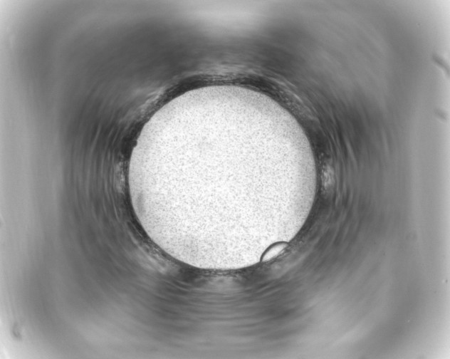 X0000093261204200710241326