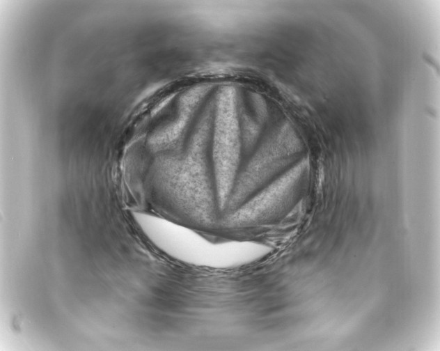 X0000093261206200710241327