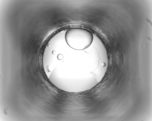 X0000093261208200710241327