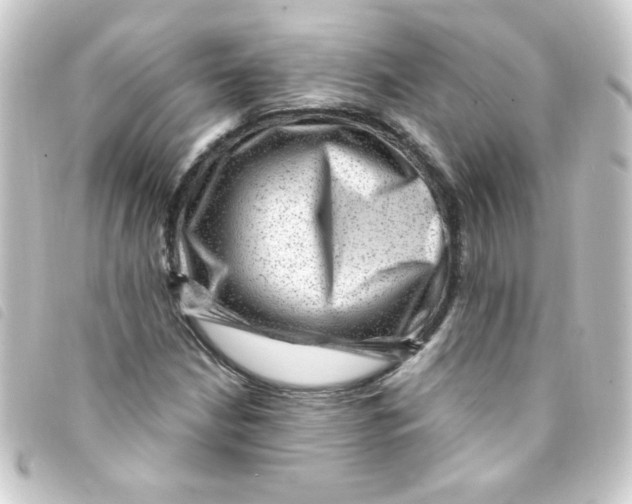 X0000093261210200710241327