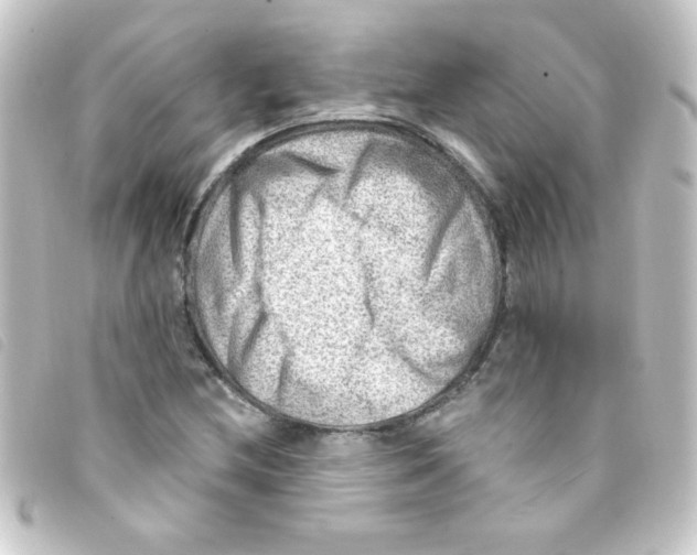 X0000093261212200710241327