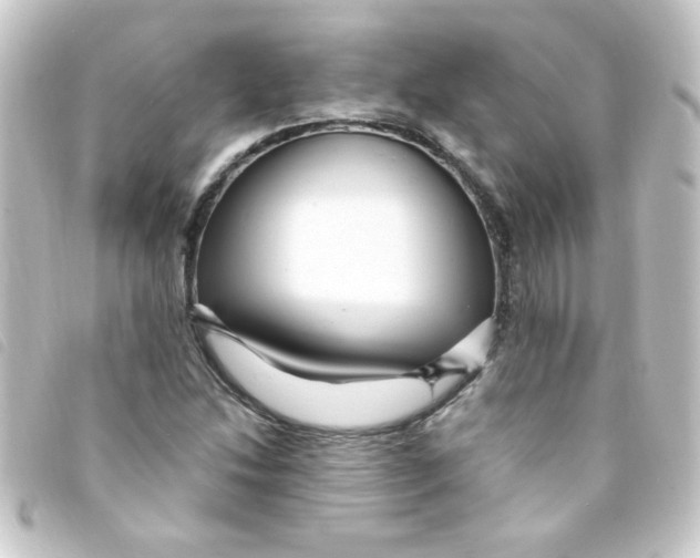 X0000093261214200710241327