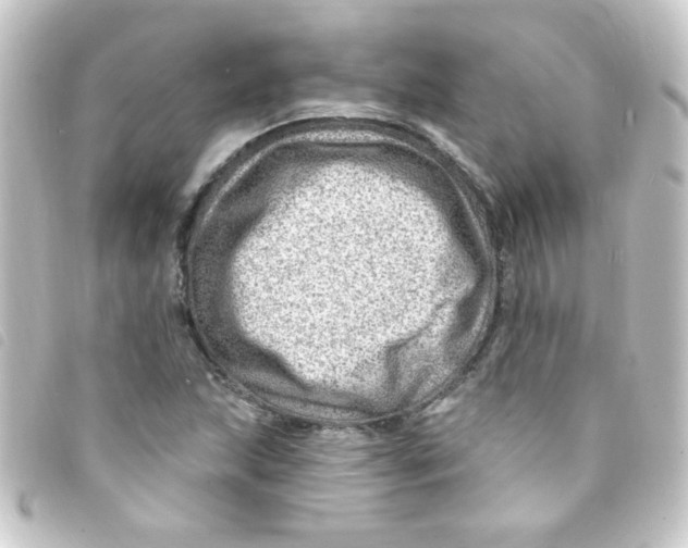 X0000093261215200710241327