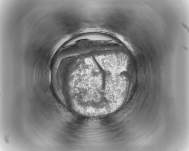 X0000093261221200710241327