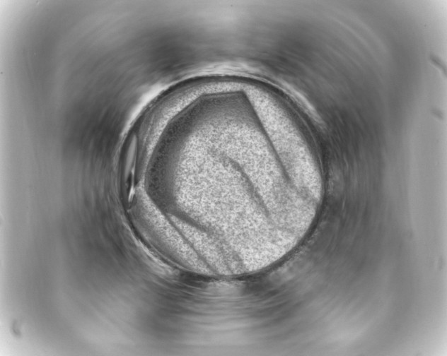 X0000093261224200710241327
