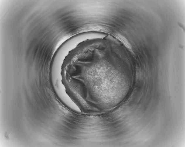 X0000093261226200710241327
