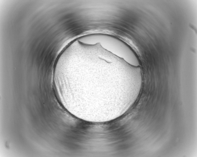 X0000093261228200710241327