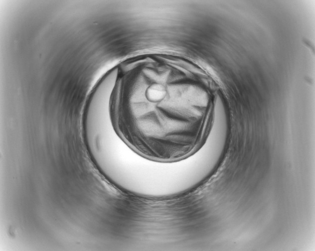 X0000093261230200710241327