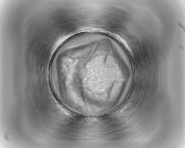 X0000093261231200710241327