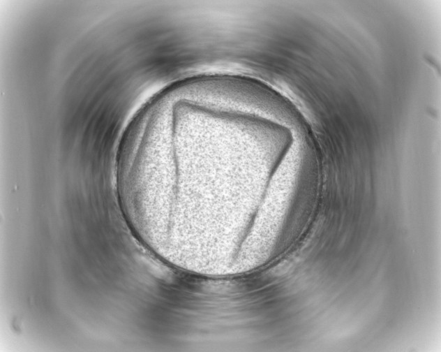 X0000093261232200710241327