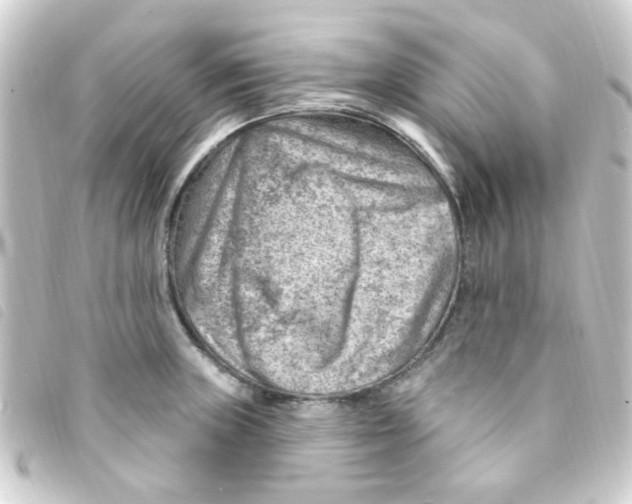 X0000093261235200710241327