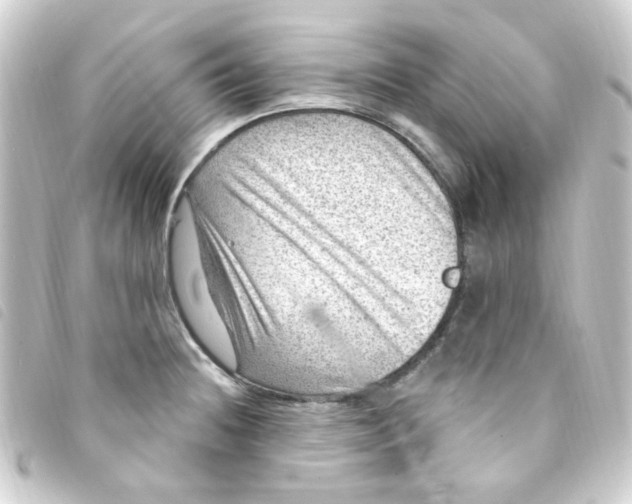 X0000093261236200710241327