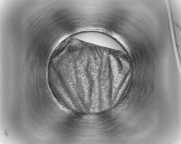 X0000093261237200710241327