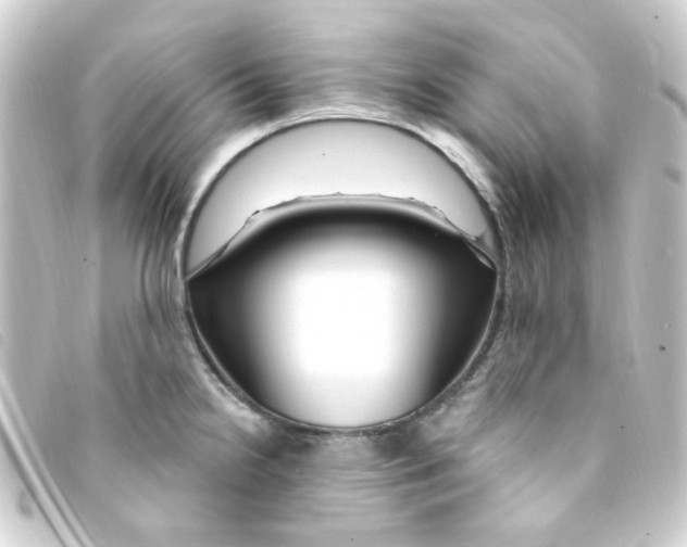 X0000093261238200710241327