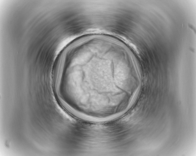 X0000093261239200710241327