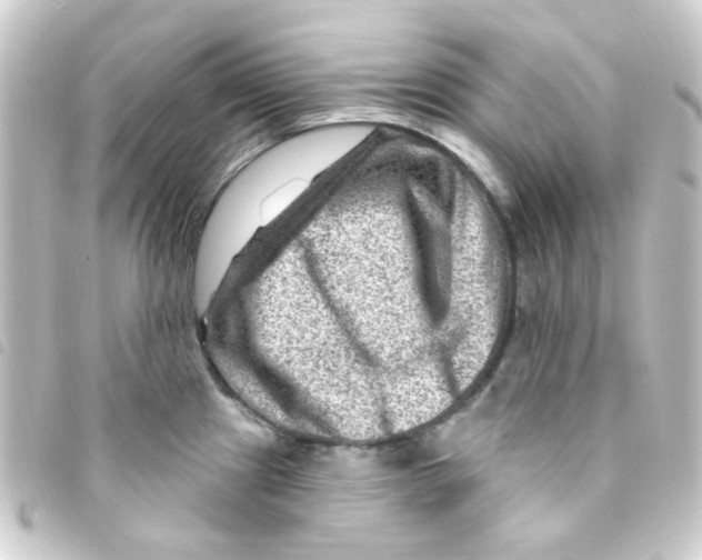 X0000093261241200710241327