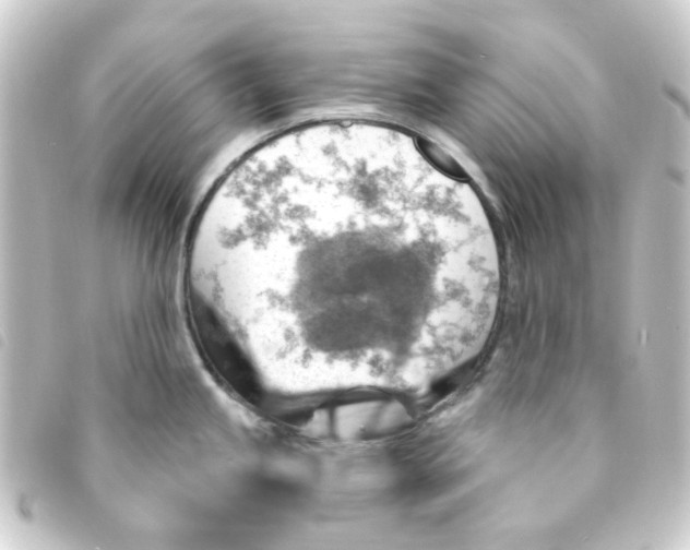 X0000093261245200710241327