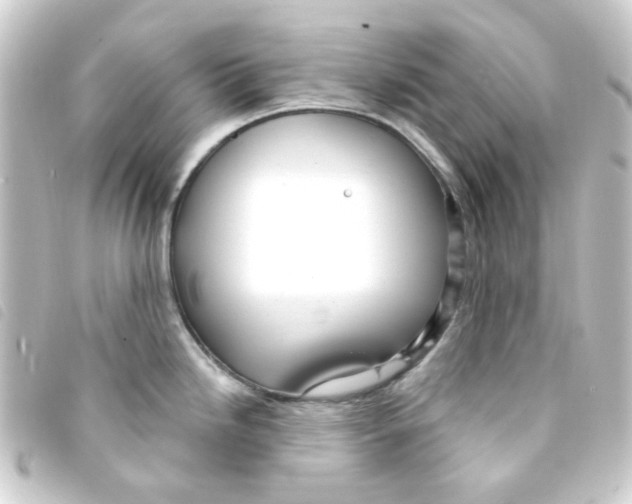 X0000093261246200710241327