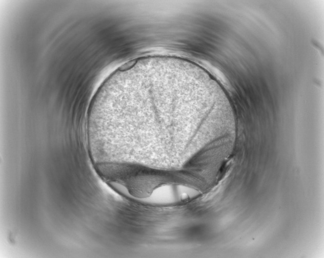 X0000093261247200710241327