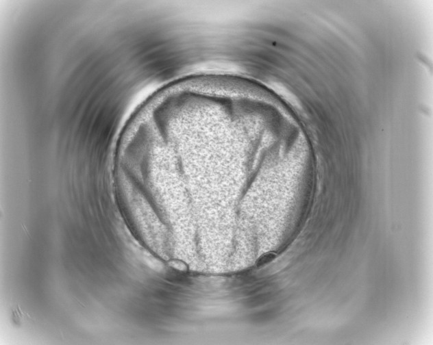 X0000093261248200710241327
