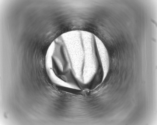 X0000093261250200710241326