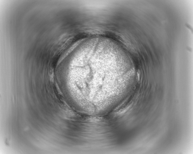X0000093261251200710241326