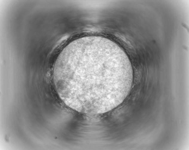 X0000093261254200710241326