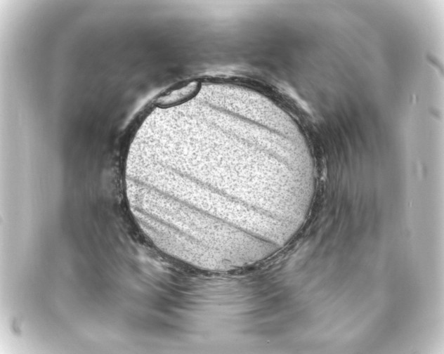 X0000093261256200710241326