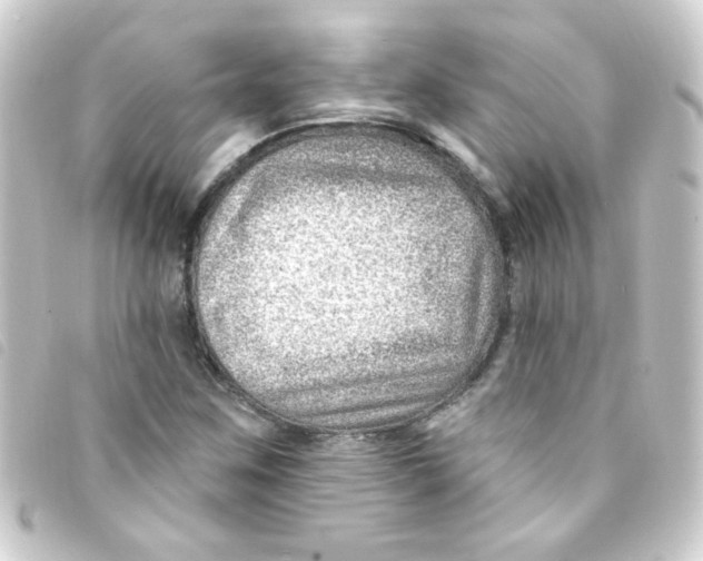 X0000093261259200710241326