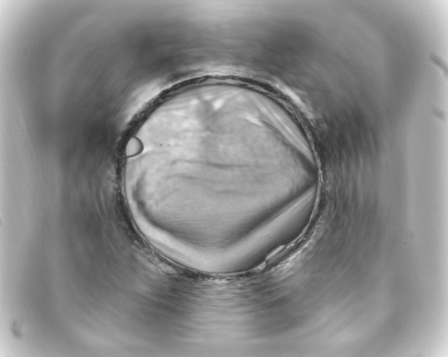 X0000093261263200710241326