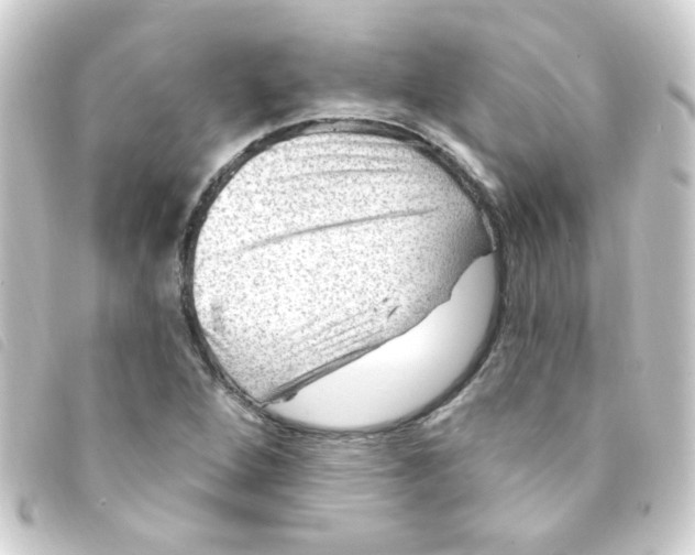 X0000093261264200710241326