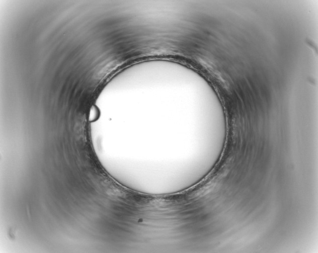 X0000093261265200710241326