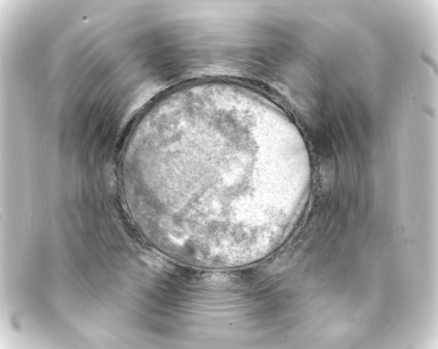 X0000093261266200710241326