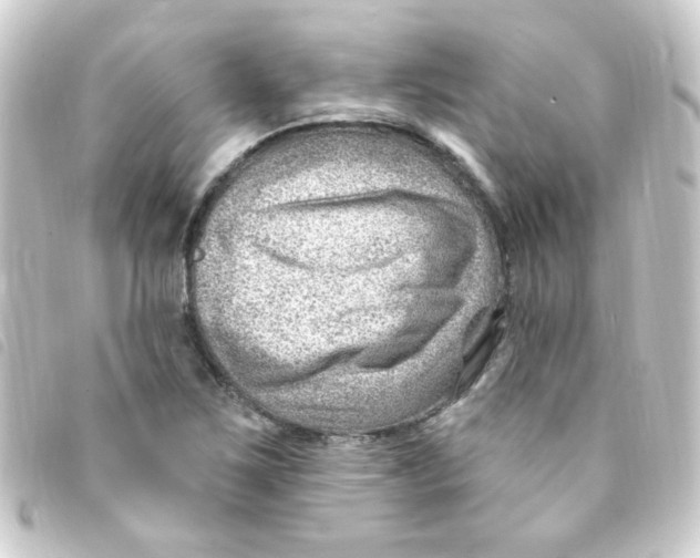 X0000093261267200710241326